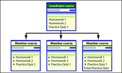 Course Groups